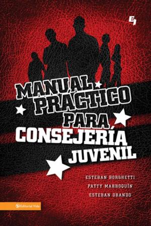 Cover of the book Manual práctico para consejera juvenil by Mike Yaconelli