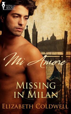 Cover of the book Missing in Milan by Theda Black