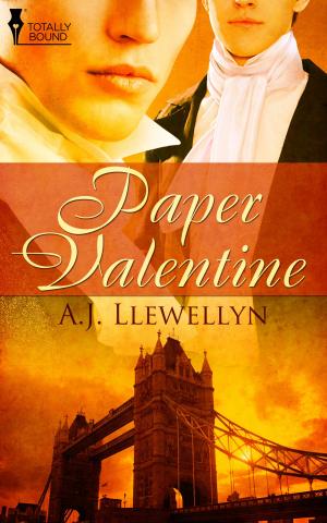 Cover of the book Paper Valentine by Corinne Frontiero