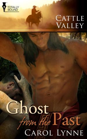 Cover of the book Ghost from the Past by Victoria Blisse