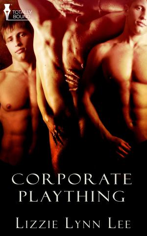 Cover of the book Corporate Plaything by J.G. Follansbee