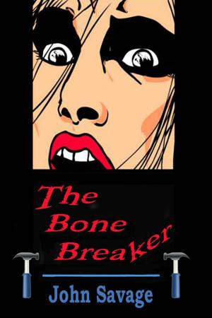 Book cover of The Bone Breaker
