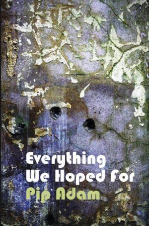 Cover of the book Everything We Hoped For by Catherine Chidgey