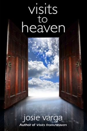 Cover of the book Visits to Heaven by Darrin W. Owens