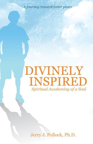 Cover of Divinely Inspired: Spiritual Awakening of a Soul