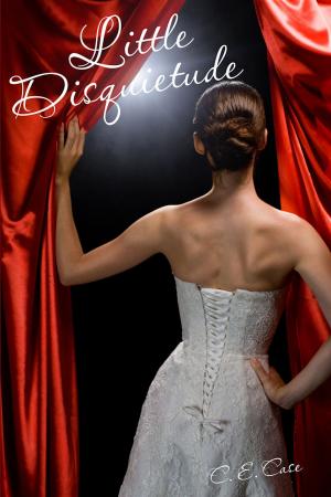 Cover of the book Little Disquietude by Lara Zielinsky