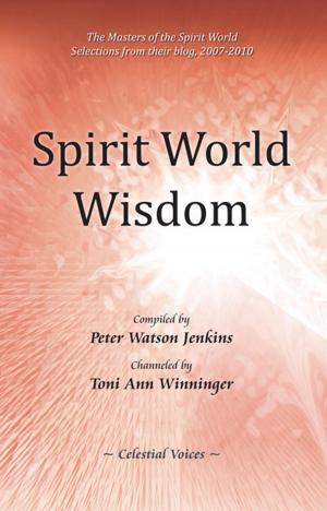 Book cover of Spirit World Wisdom