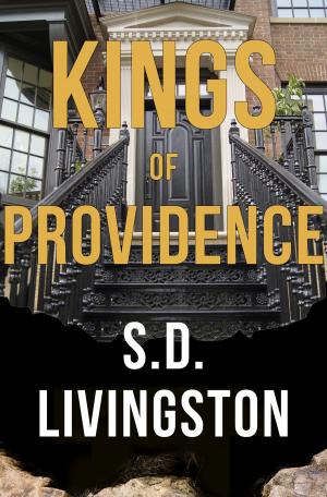 Cover of the book Kings of Providence by LJK Oliva