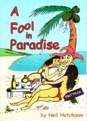 Cover of the book A Fool in Paradise by Jan Krikke