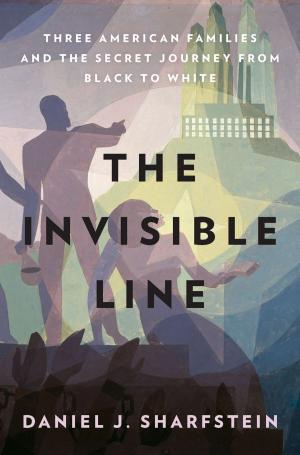 Cover of the book The Invisible Line by Jack Boulware, Silke Tudor