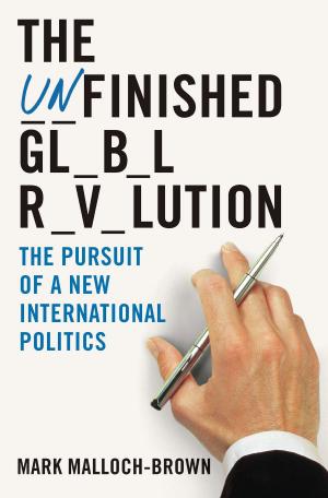 Cover of the book The Unfinished Global Revolution by Elisabeth Elo