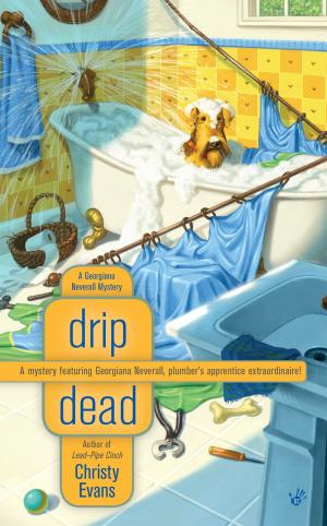Cover of the book Drip Dead by Andrea Pomerantz Lustig