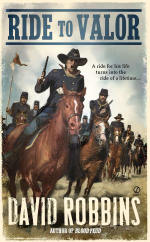 Cover of the book Ride to Valor by James L. Haley