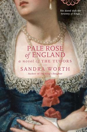 Cover of the book Pale Rose of England by Meg Gardiner