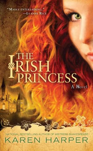 Cover of the book The Irish Princess by Russ Roberts