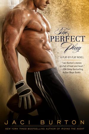 Cover of the book The Perfect Play by Robert Dalby