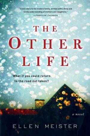 Cover of the book The Other Life by Walter Mosley