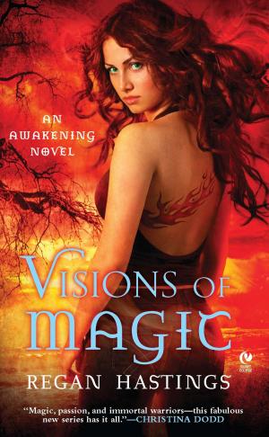 Cover of the book Visions of Magic by Julie James