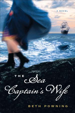 Cover of the book The Sea Captain's Wife by D. L. Garfinkle