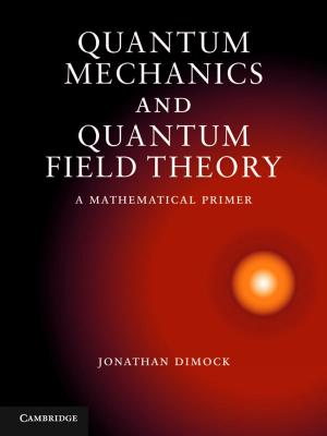 Cover of the book Quantum Mechanics and Quantum Field Theory by Luiz Roberto Evangelista, Ervin Kaminski Lenzi