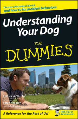 Cover of the book Understanding Your Dog For Dummies by Liane Davey