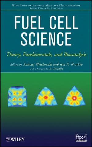 Cover of the book Fuel Cell Science by Ruey S. Tsay