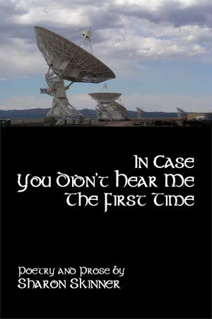 Book cover of In Case You Didn't Hear Me The First Time