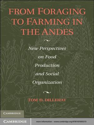 Cover of the book From Foraging to Farming in the Andes by Professor David Lewis