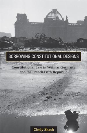 Cover of the book Borrowing Constitutional Designs by D. Sunshine Hillygus, Todd G. Shields