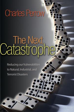 Cover of the book The Next Catastrophe by Silvan S. Schweber