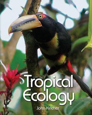 Cover of the book Tropical Ecology by Thomas F. Homer-Dixon