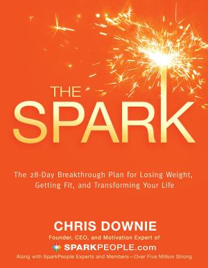 Cover of the book The Spark TRADE by Denise Linn