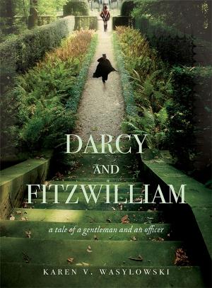 Cover of the book Darcy and Fitzwilliam by Sheryl Berk, Carrie Berk