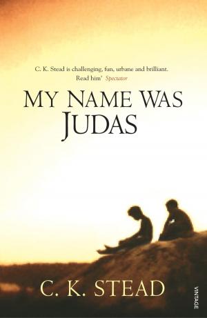 bigCover of the book My Name Was Judas by 