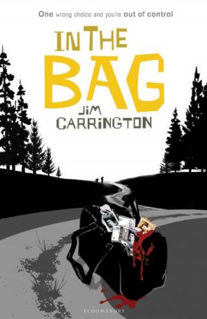 Cover of the book In the Bag by Philip Ridley