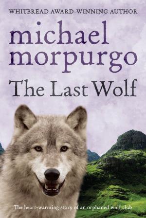 Cover of the book The Last Wolf by Annie Caulfield