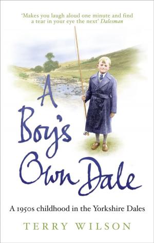 bigCover of the book A Boy's Own Dale by 
