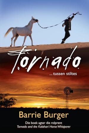Cover of the book Tornado by Carolyn Larsen