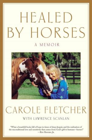Cover of the book Healed by Horses by Christine Carbo
