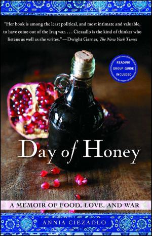 Cover of the book Day of Honey by Suzanne Sgroi