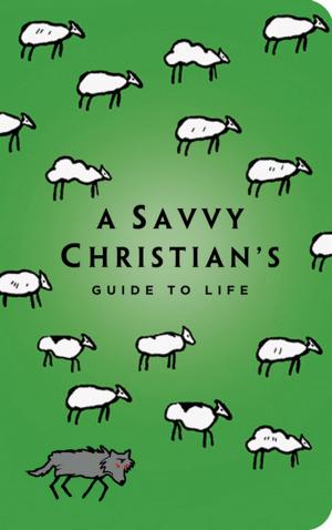Cover of the book The Savvy Christian's Guide to Life by Dr. Michael Monroe Kiefer