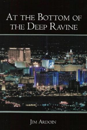 Book cover of At the Bottom of the Deep Ravine