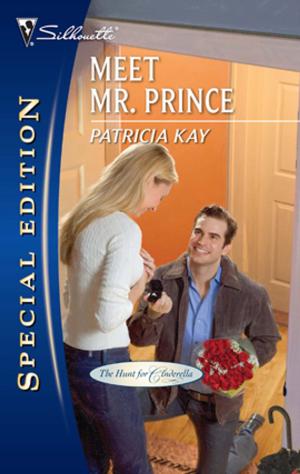 Cover of the book Meet Mr. Prince by Christine Rimmer