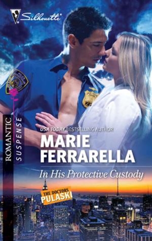 Cover of the book In His Protective Custody by Lindsay McKenna