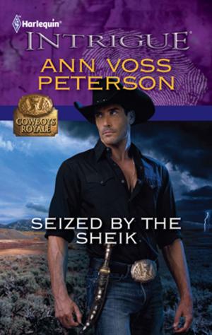 Cover of the book Seized by the Sheik by Vivi Anna