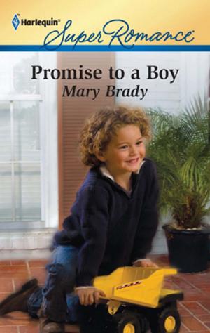 Book cover of Promise to a Boy