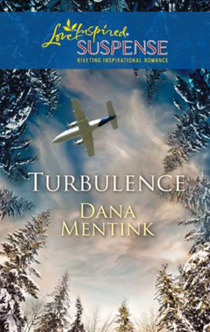 Cover of the book Turbulence by Gail Gaymer Martin