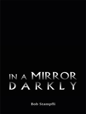 Cover of the book In a Mirror Darkly by R. A. Meenan