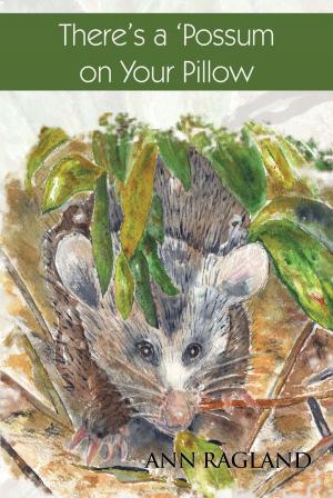Cover of the book There’S a 'Possum on Your Pillow by C–mac Dyal