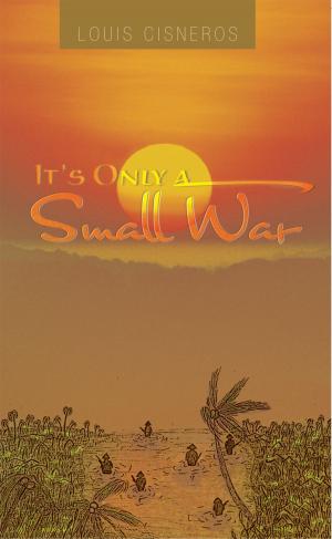 Cover of the book It’S Only a Small War by LAWRENCE KLEPINGER